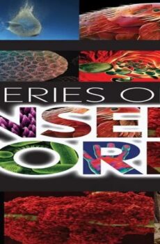 فيلم Mysteries of the Unseen World 2013 مترجم