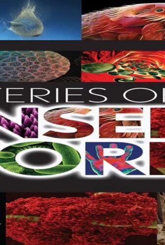 فيلم Mysteries of the Unseen World 2013 مترجم