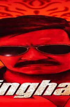 فيلم Singham 2011 مترجم