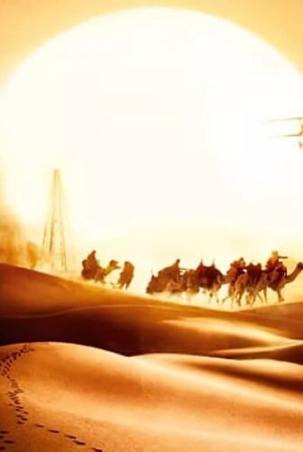 فيلم Black Gold 2011 مترجم