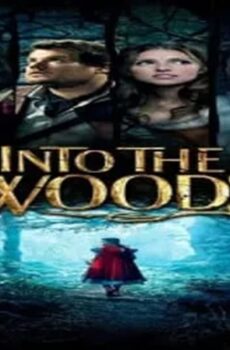 فيلم Into the Woods 2014 مترجم