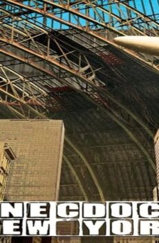 فيلم Synecdoche, New York 2008 مترجم
