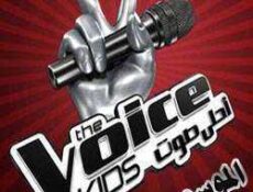 برنامج The Voice الموسم 3 الحلقة 2