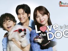 مسلسل Love is for the Dogs الحلقة 4 الرابعة مترجمة