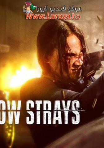 فيلم The Shadow Strays 2024 مترجم