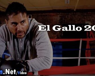 فيلم El Gallo 2018 مترجم