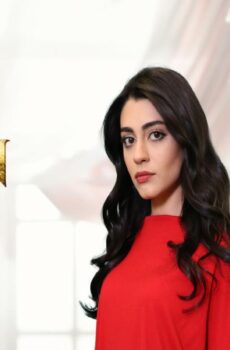 مسلسل العروس الحلقة 31 الحادية والثلاثون مترجمة
