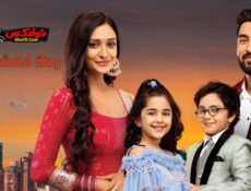 مسلسل رحلة لاكشمي الموسم 6 الحلقة 3 مدبلجة