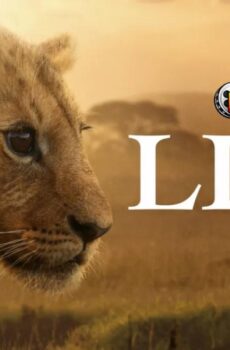مسلسل Lion الحلقة 4 مترجمة (الاخيرة)