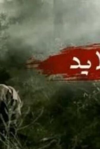 مسلسل ام القلايد الحلقة 7 السابعة