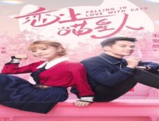 مسلسل الوقوع في حب القطط الحلقة 15 مترجمة