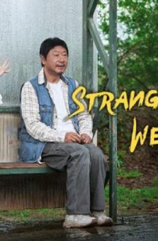 فيلم Strangers When We Meet 2024 مترجم