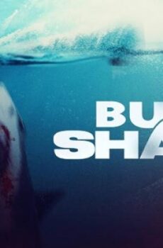 فيلم Bull Shark 2 2024 مترجم