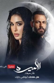 مسلسل الاميرة ضل حيطة الحلقة 15 الخامسة عشر