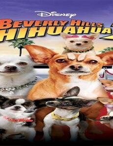 فيلم Beverly Hills Chihuahua 2 2011 مترجم