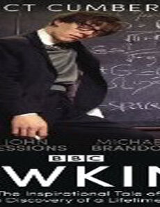 فيلم Hawking 2004 مترجم