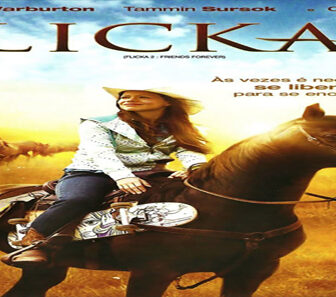 فيلم Flicka 2 2010 مترجم