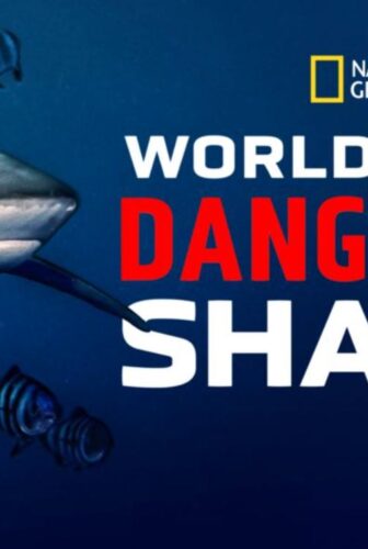 فيلم World’s Biggest Bull Shark 2021 مترجم