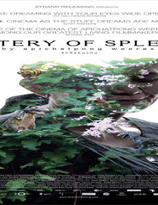 فيلم Cemetery Of Splendor 2015 مترجم