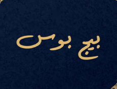 مسلسل بيج بوس الحلقة 1 الاولي