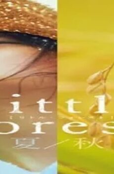 فيلم Little Forest: Summer/Autumn 2014 مترجم