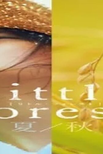 فيلم Little Forest: Summer/Autumn 2014 مترجم