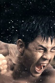 فيلم The Wrath Of Vajra 2013 مترجم
