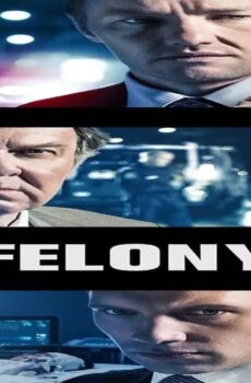 فيلم Felony 2013 مترجم