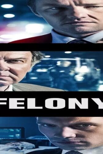 فيلم Felony 2013 مترجم