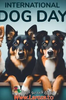 فيلم Dog Days 2024 مترجم