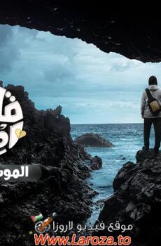برنامج قلبي اطمان الموسم 8 الحلقة 17 السابعة عشر