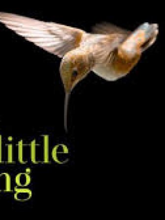 فيلم Every Little Thing 2024 مترجم