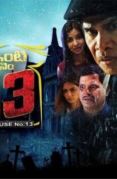 فيلم Inti Number 13 2024 مترجم