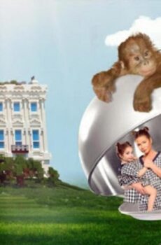 فيلم السيدة الثانية 2015