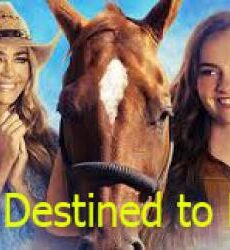 فيلم Destined to Ride 2018 مترجم