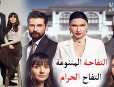 مسلسل التفاحة الممنوعة الحلقة 12 مترجم كاملة – التفاح الحرام