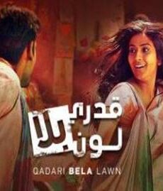 قدري بلا لون