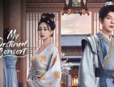 مسلسل زوجتي المقدر لها My Destined Consort الحلقة 12 الثانية عشر مترجمة