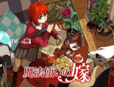 انمي Mahoutsukai no Yome الحلقة 1 مترجمة