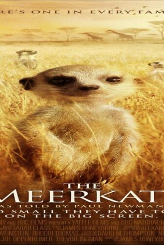 فيلم The Meerkats 2008 مترجم
