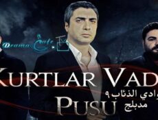 مسلسل وادي الذئاب الموسم 9 الحلقة 2 الثانية مدبلجة
