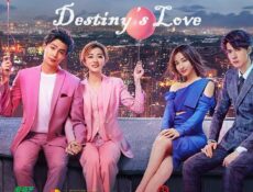 مسلسل Destiny’s Love الحلقة 6 السادسة مترجمة
