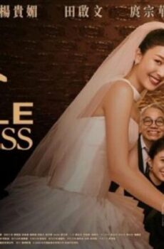فيلم Double Happiness 2025 مترجم
