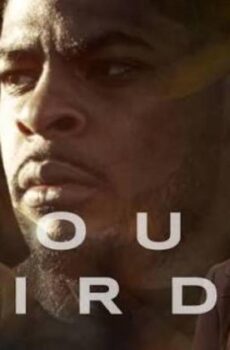فيلم Four Birds 2026 مترجم