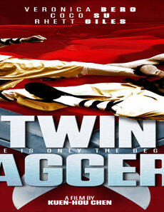 فيلم Twin Daggers 2008 مترجم