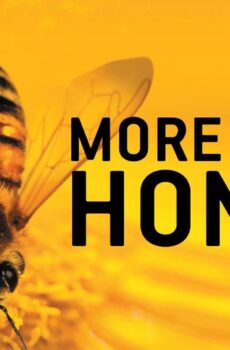 فيلم More Than Honey 2012 مترجم
