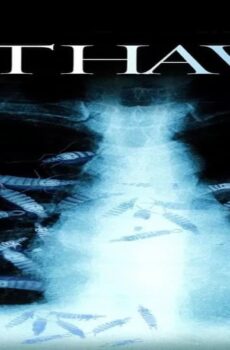 فيلم The Thaw 2009 مترجم