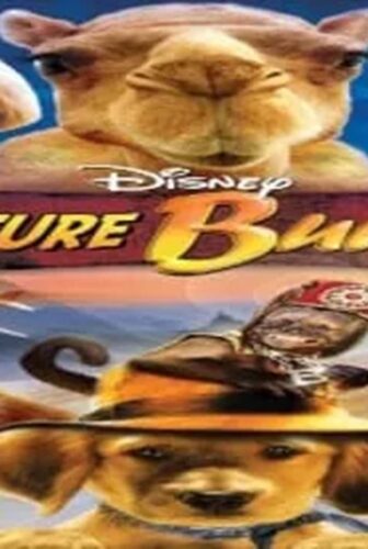 فيلم Treasure Buddies 2012 مترجم