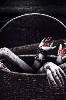 فيلم Horror Story 2013 مترجم