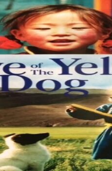 فيلم The Cave of the Yellow Dog 2005 مترجم